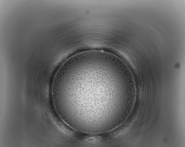 X0000090750447200707271449