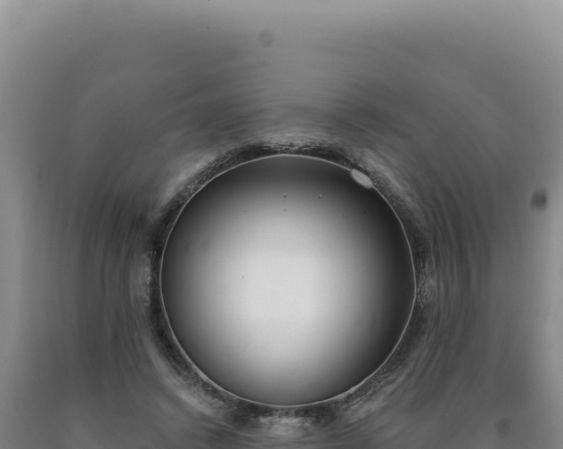 X0000090750448200707271449