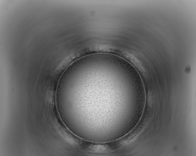 X0000090750449200707271449