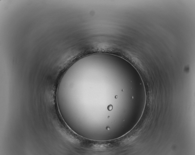 X0000090750450200707271449