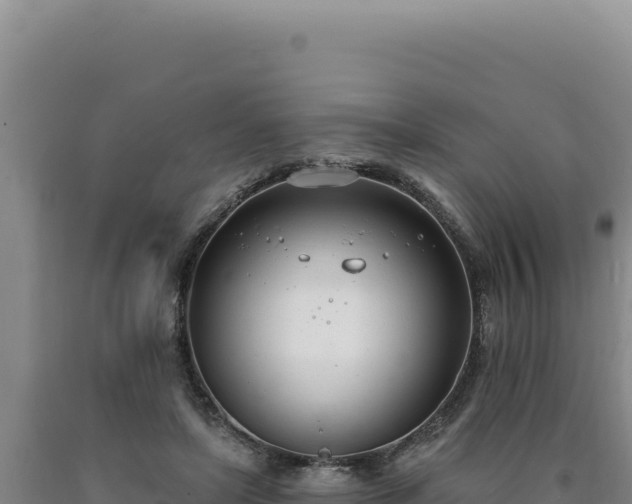 X0000090750451200707271449