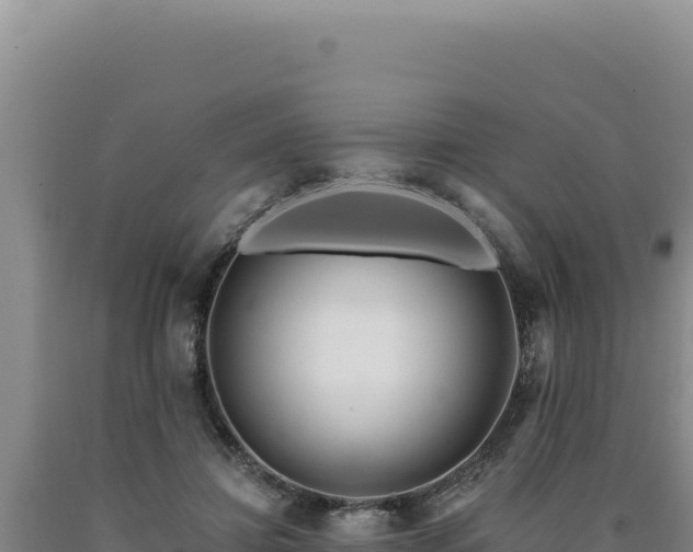 X0000090750452200707271449