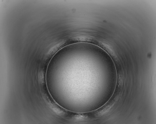 X0000090750453200707271449