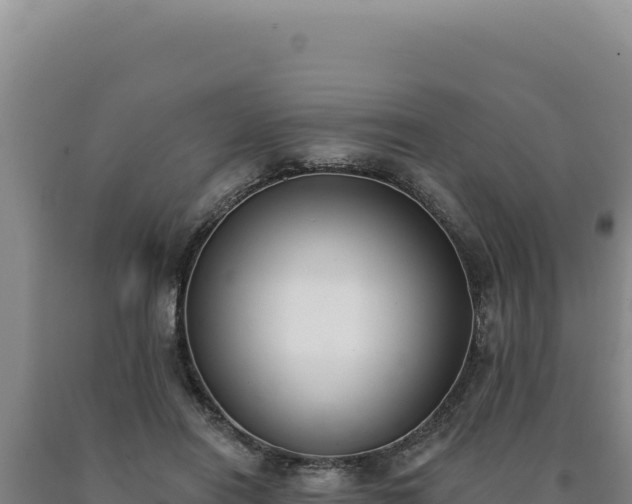 X0000090750454200707271449