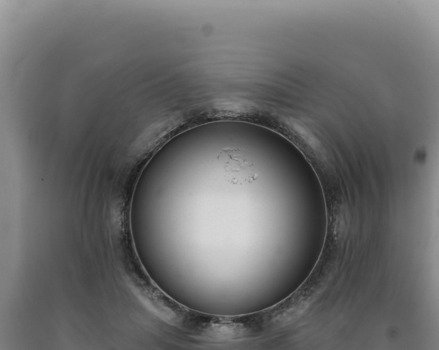 X0000090750455200707271449