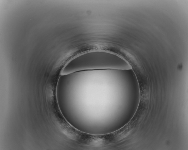 X0000090750456200707271449