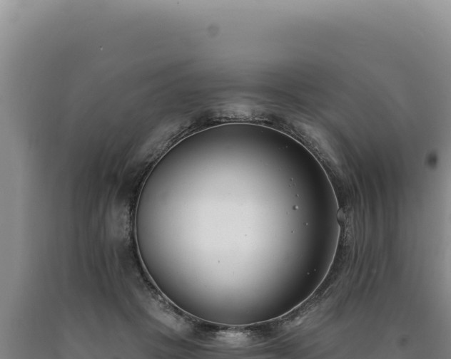 X0000090750457200707271449