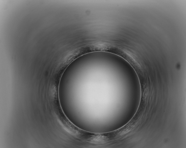 X0000090750459200707271449