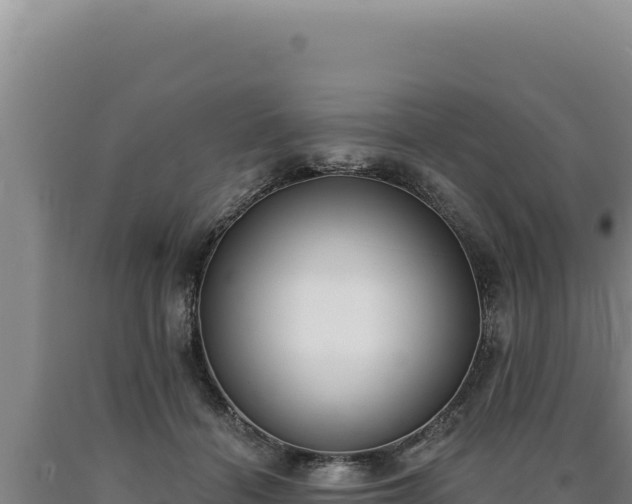 X0000090750460200707271449