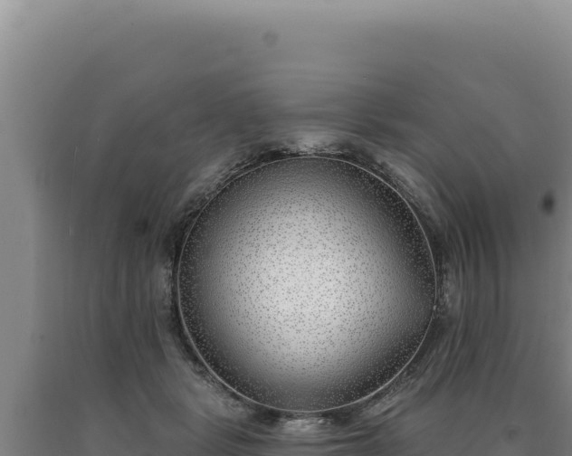 X0000090750461200707271449