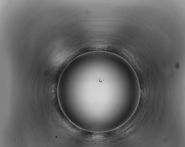 X0000090750462200707271449