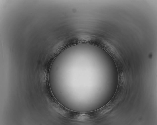 X0000090750463200707271449