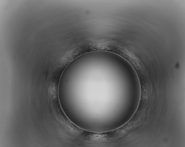 X0000090750465200707271449