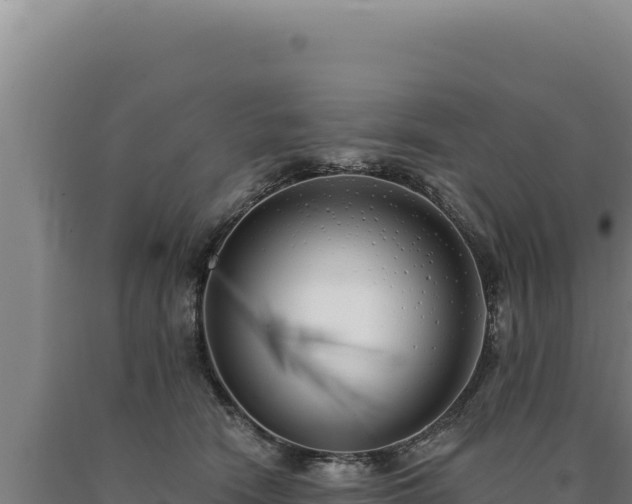 X0000090750466200707271449