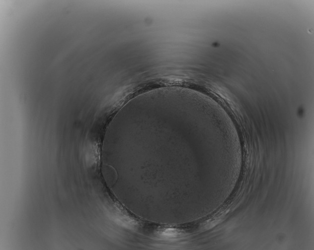 X0000090750467200707271449