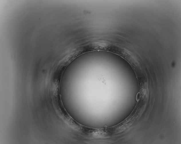 X0000090750468200707271449