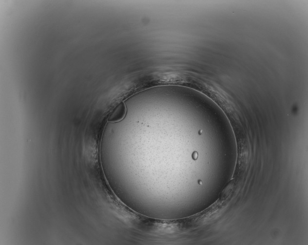 X0000090750469200707271449