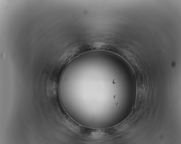 X0000090750470200707271449