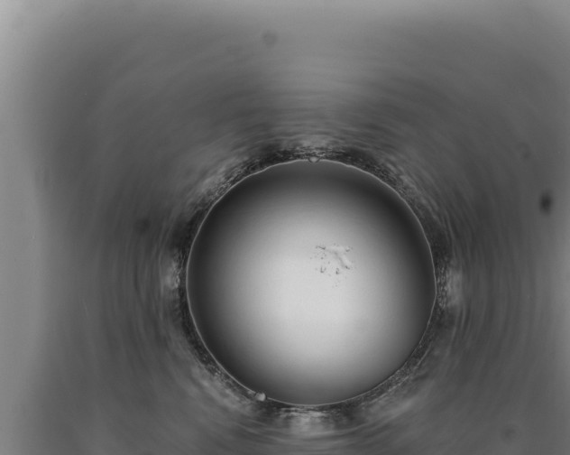 X0000090750472200707271449