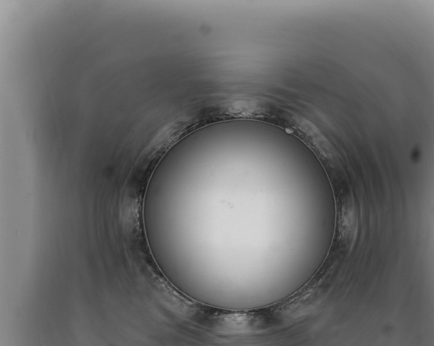 X0000090750473200707271449