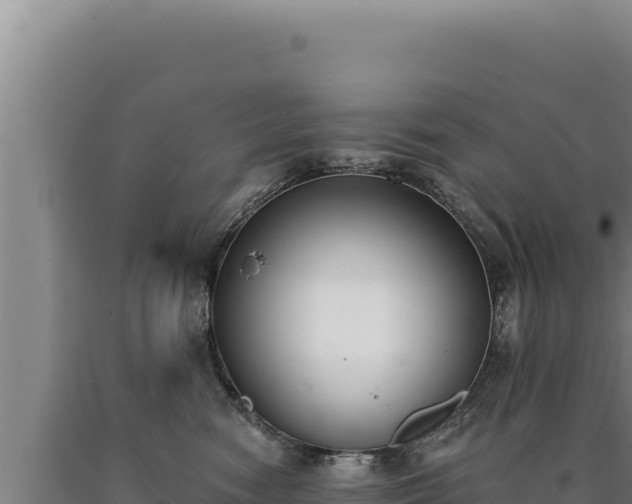 X0000090750474200707271449