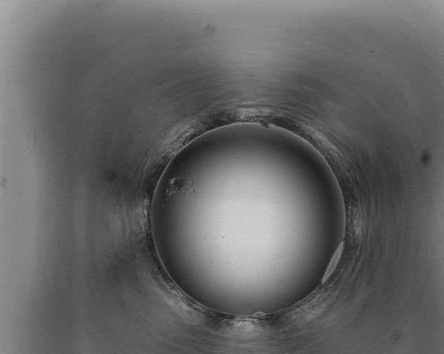 X0000090750475200707271449