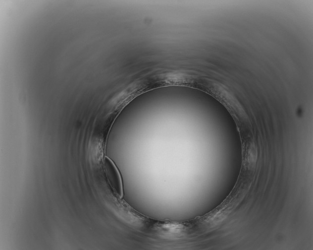 X0000090750478200707271449