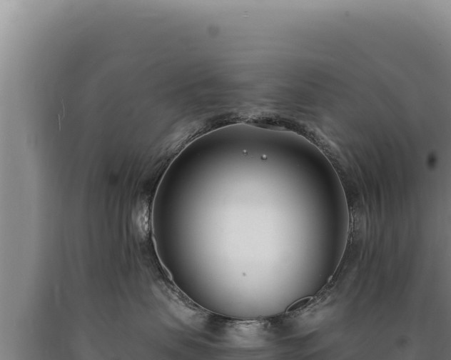 X0000090750479200707271449