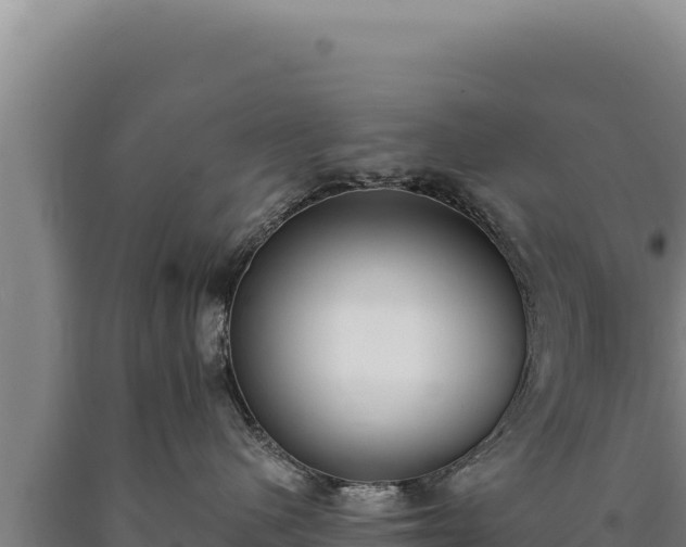 X0000090750480200707271449