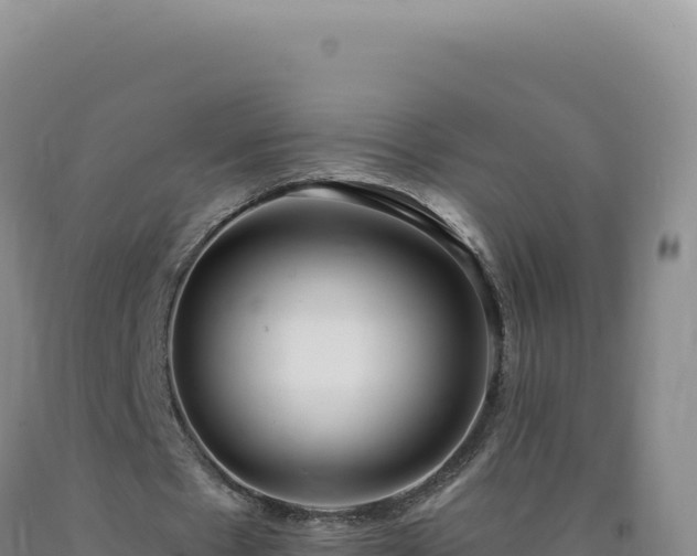 X0000090750481200707271448