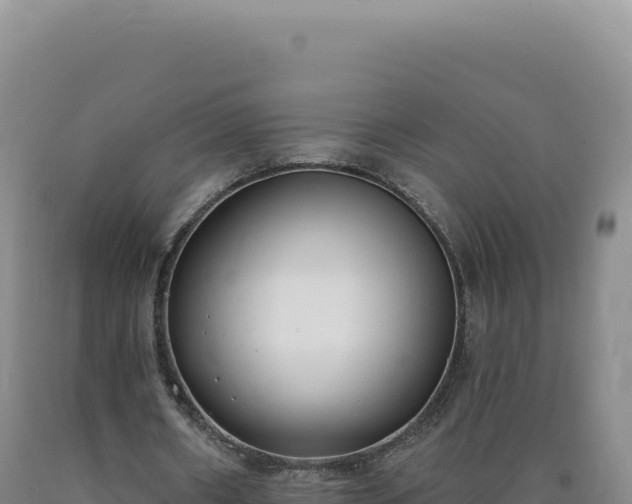 X0000090750482200707271448