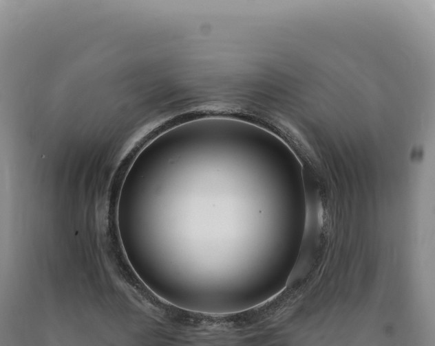 X0000090750484200707271448