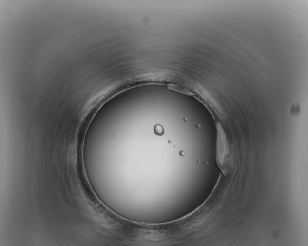 X0000090750486200707271448