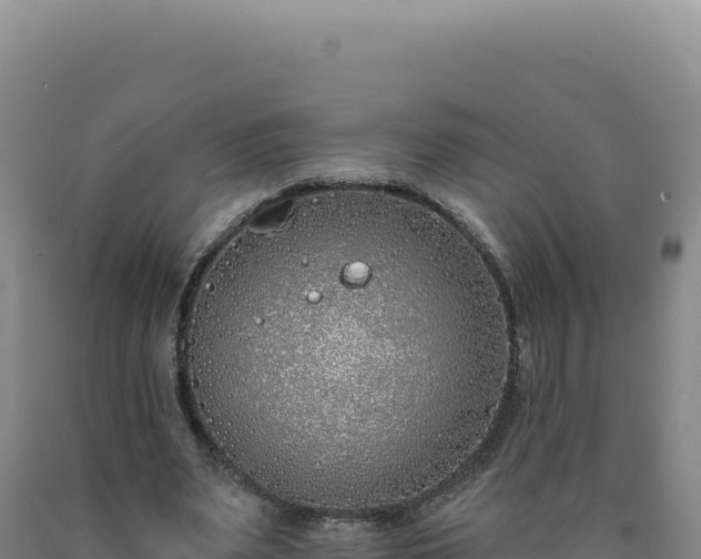 X0000090750487200707271448