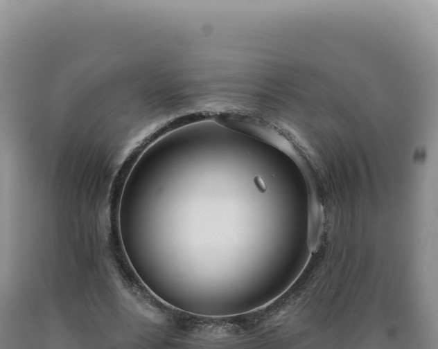 X0000090750488200707271448