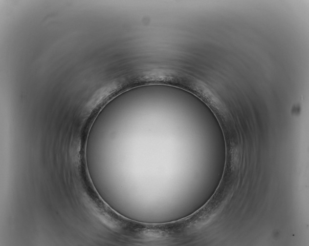 X0000090750490200707271448