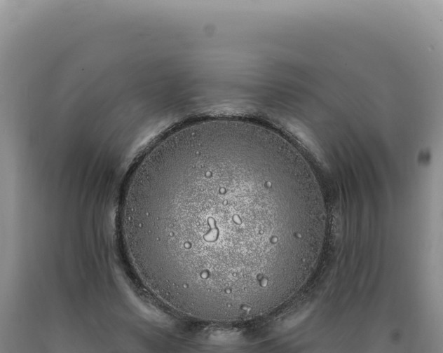 X0000090750491200707271448