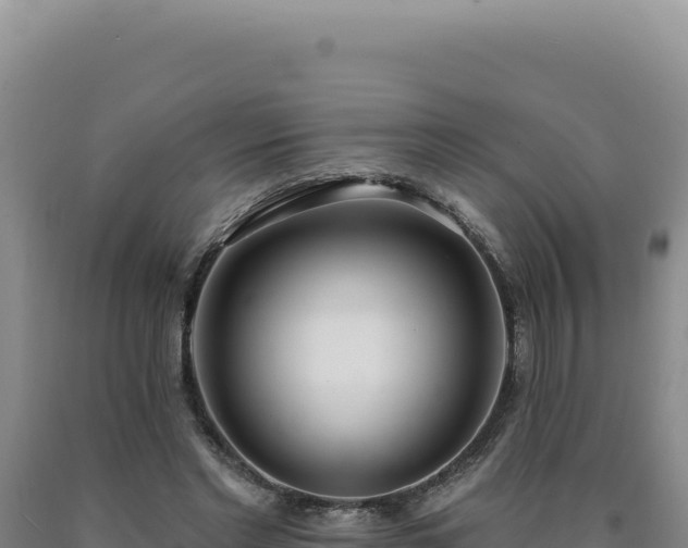 X0000090750493200707271448