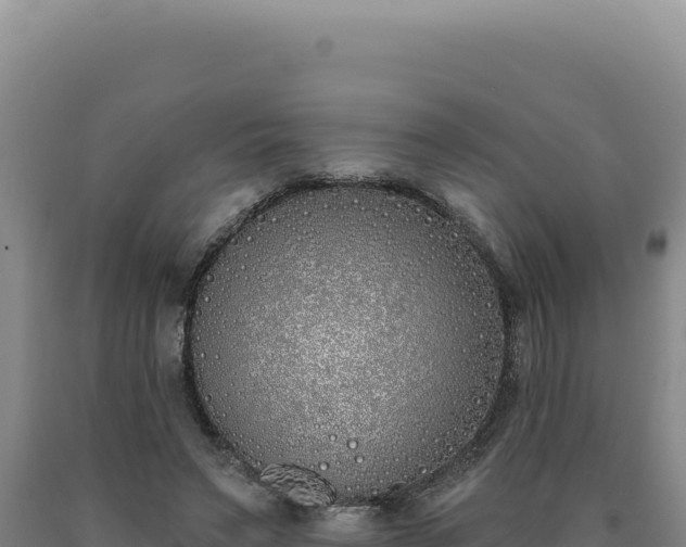 X0000090750495200707271448