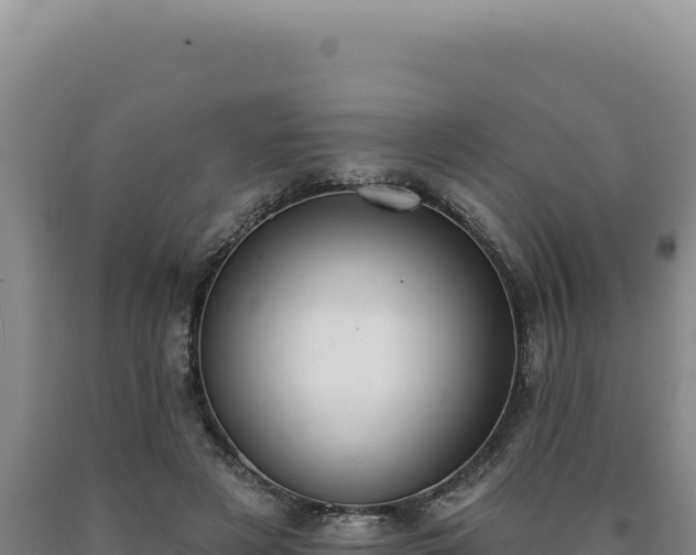 X0000090750497200707271448