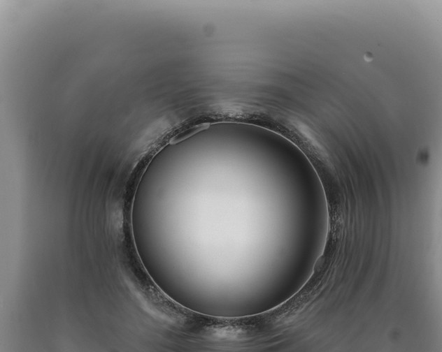 X0000090750500200707271448