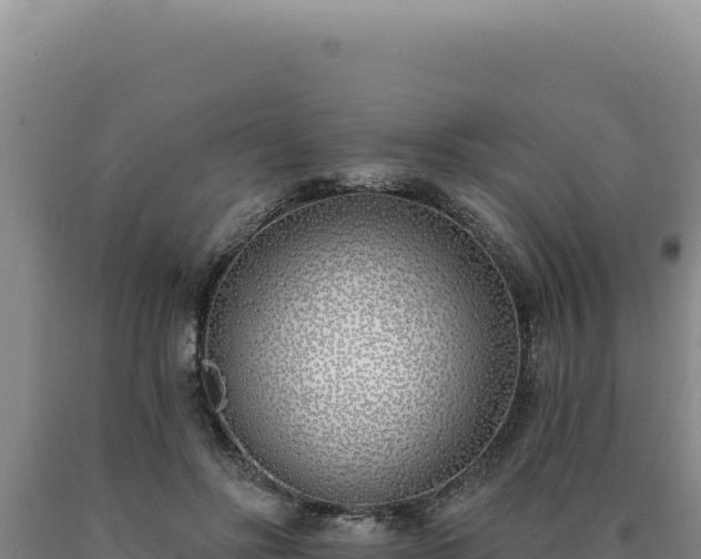 X0000090750502200707271448