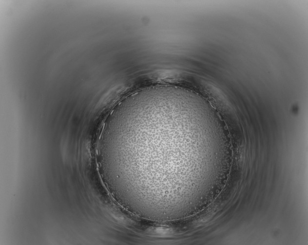 X0000090750506200707271448