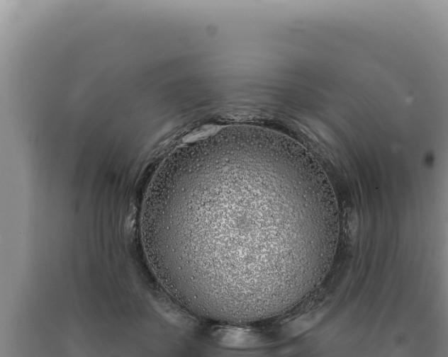 X0000090750507200707271448