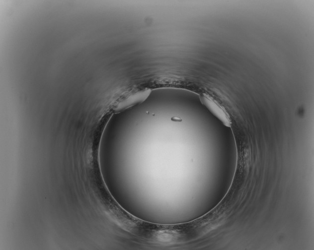 X0000090750508200707271448