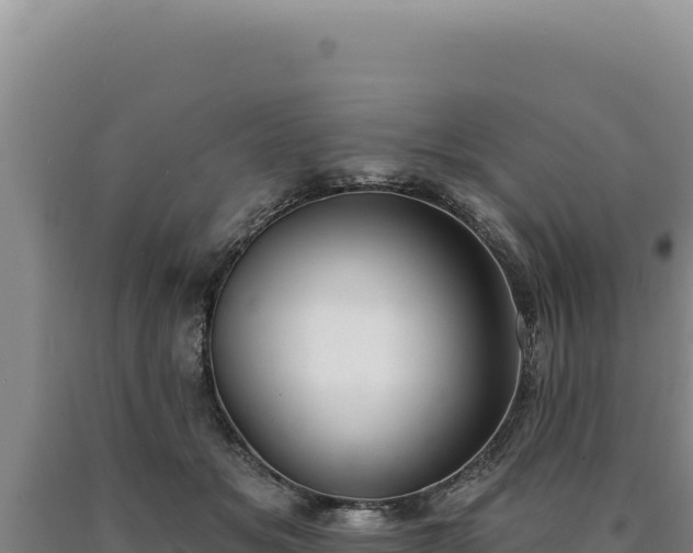 X0000090750509200707271448