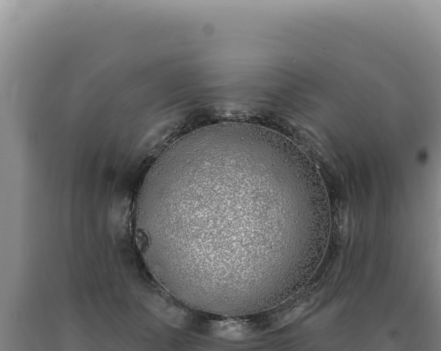 X0000090750511200707271448