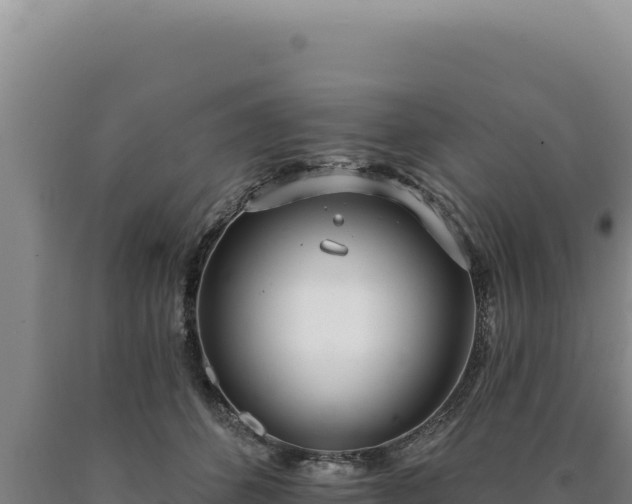 X0000090750512200707271448