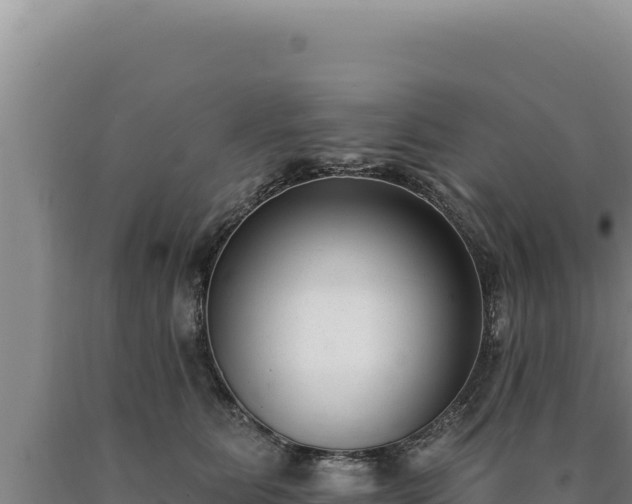 X0000090750515200707271448