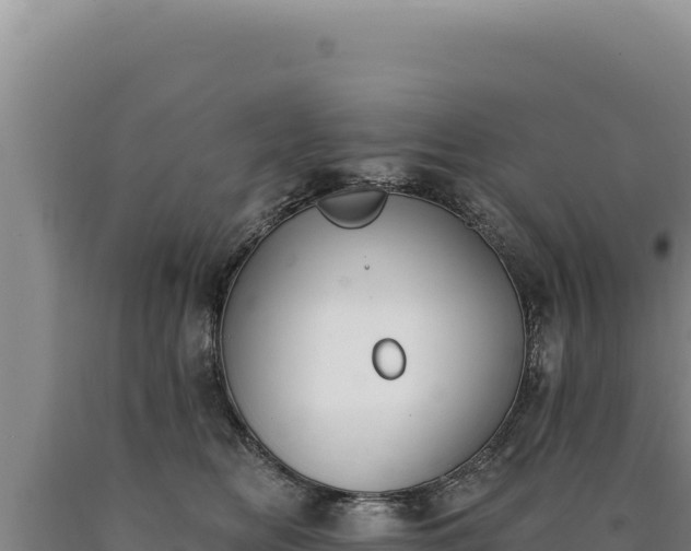 X0000090750518200707271448